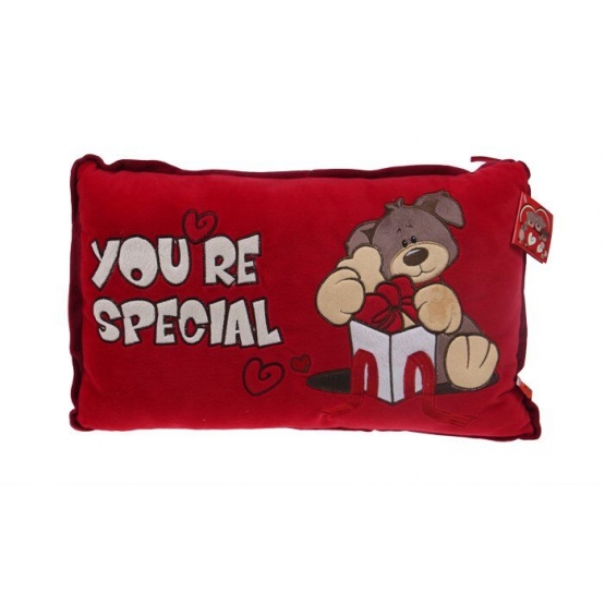 Červený polštářek You're special