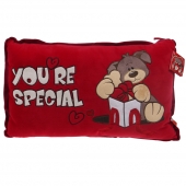 Červený vankúšik you are special