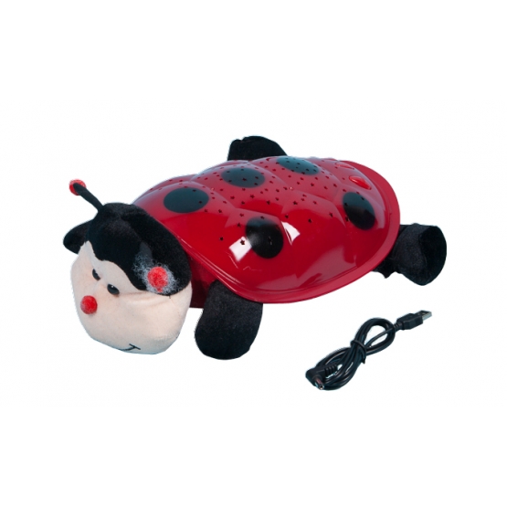 Magická svítící beruška 