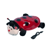 Magická svítící beruška 