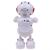 Robot Bot Pioneer