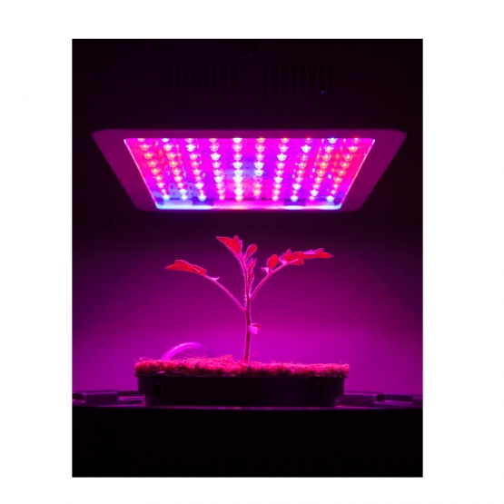 Plnospektrální LED světlo pro růst rostlin