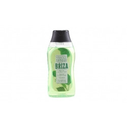 Vlasový šampon Bříza 300ml