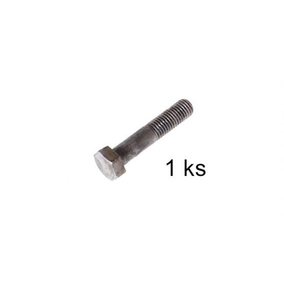 Šroub M12x60 66g