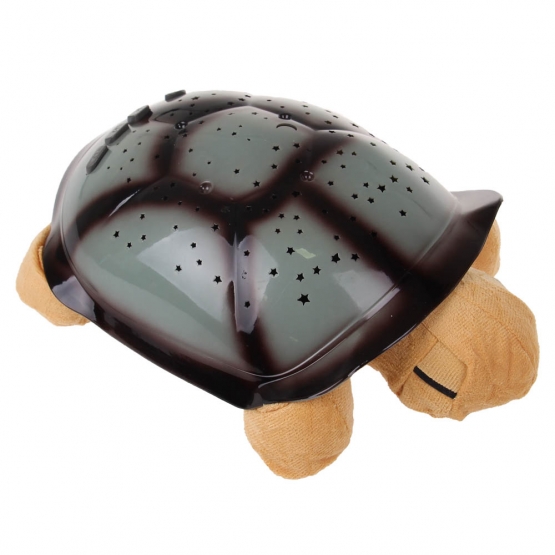 Magická svítící želva oranžová