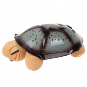 Magická svítící želva oranžová