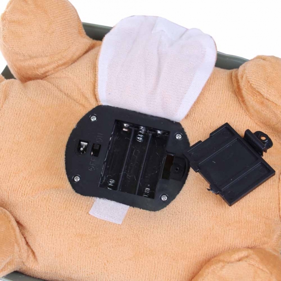 Magická svítící želva oranžová