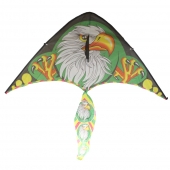 Létající drak var.2