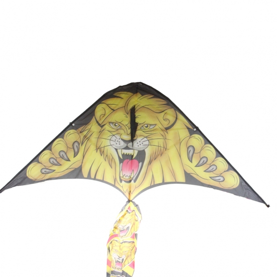 Létající drak var.2