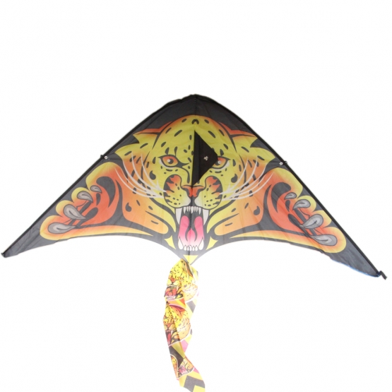 Létající drak var.2