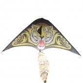 Létající drak var.2
