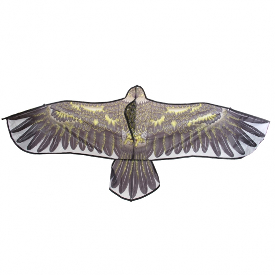 Létající drak orel var.2