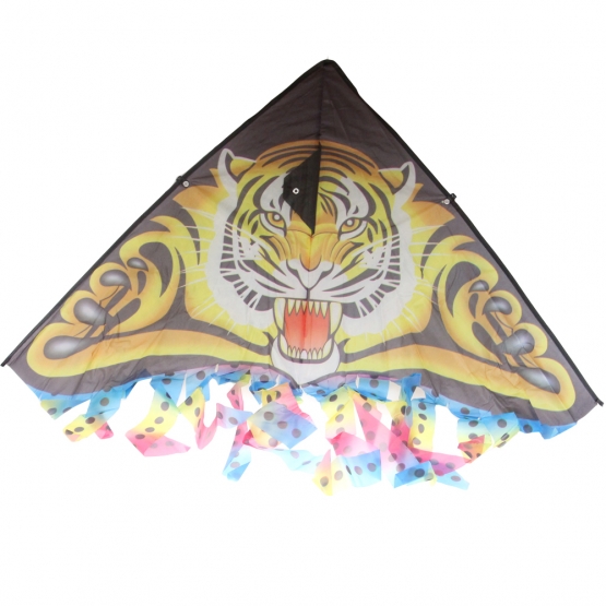 Létající drak var.1