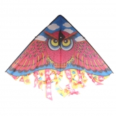 Létající drak var.1