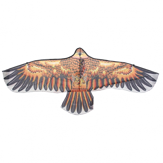 Létající drak orel var.1