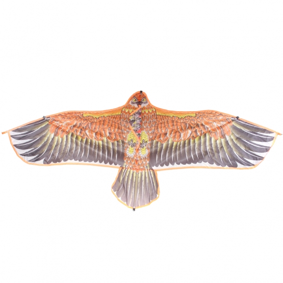 Létající drak orel var.2