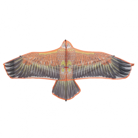 Létající drak orel var.2