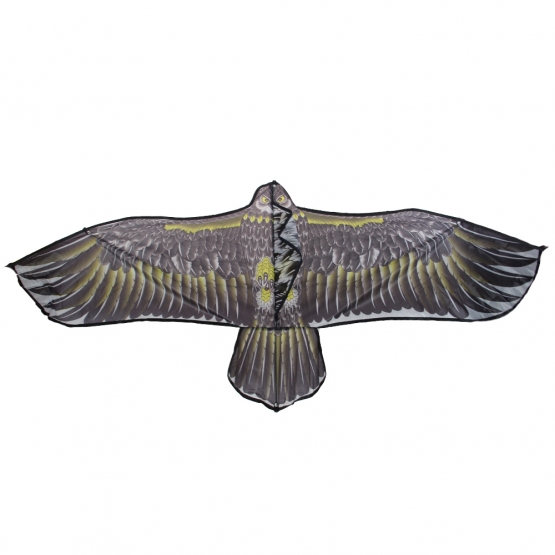 Létající drak orel var.2