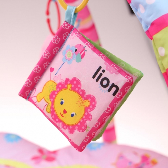 Hrací deka The Pinky House