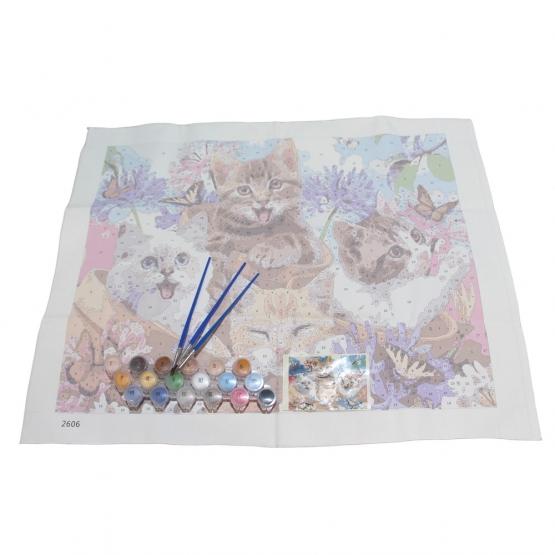 Malování podle čísel Koťata 