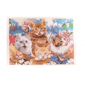 Malování podle čísel Koťata 