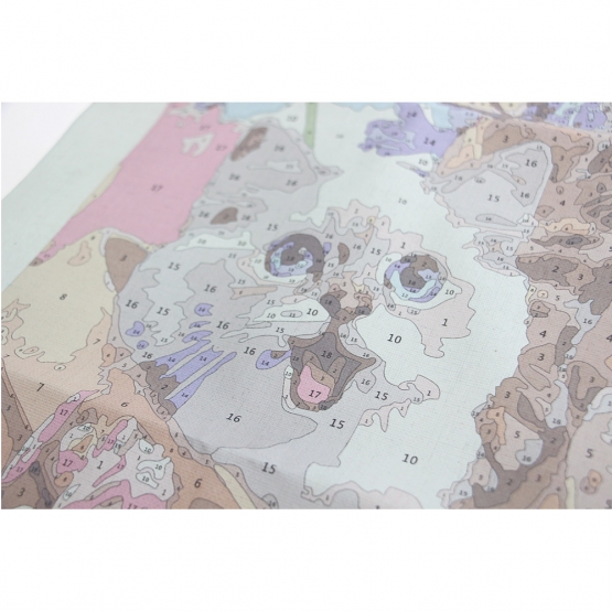 Malování podle čísel Koťata 