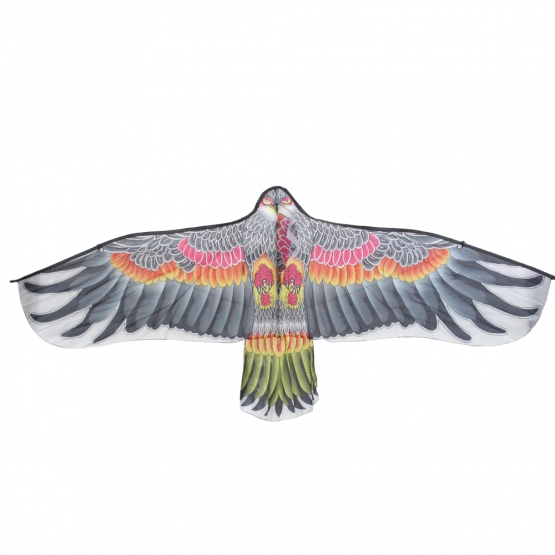 Létající drak orel var.1