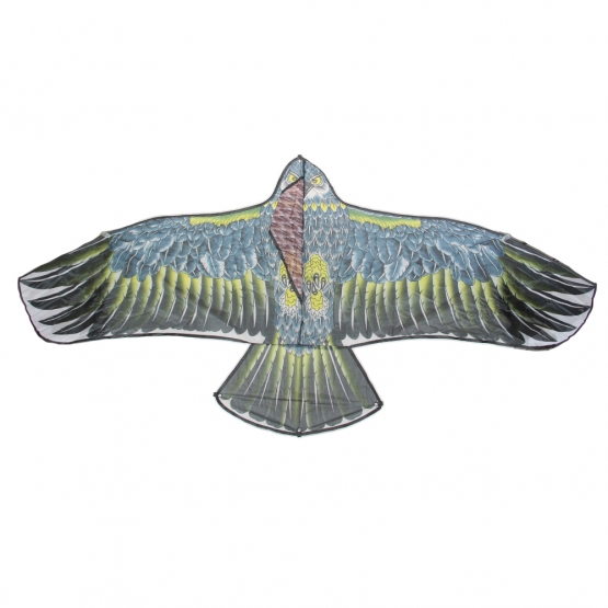 Létající drak orel var.4