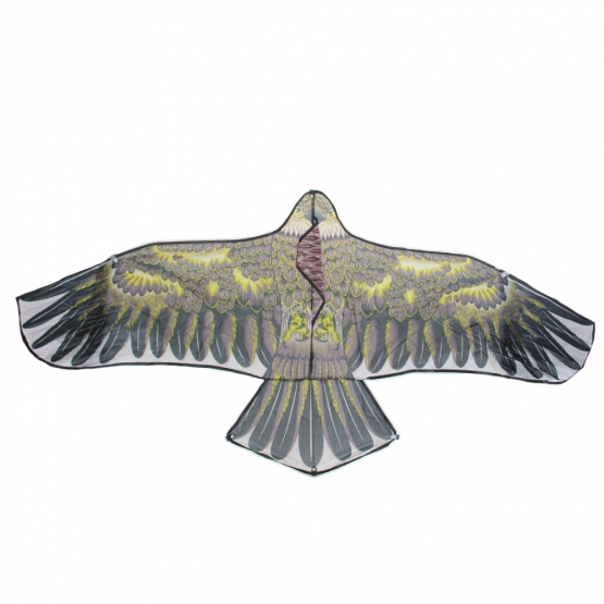 Létající drak orel var.4