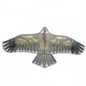 Létající drak orel var.4