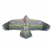 Létající drak orel var.4