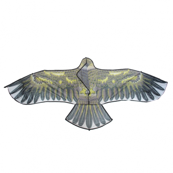 Létající drak orel var.3