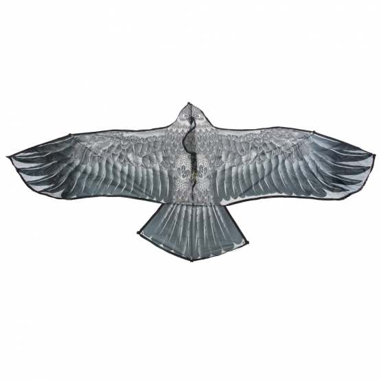 Létající drak orel var.3