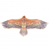 Létající drak orel var.2