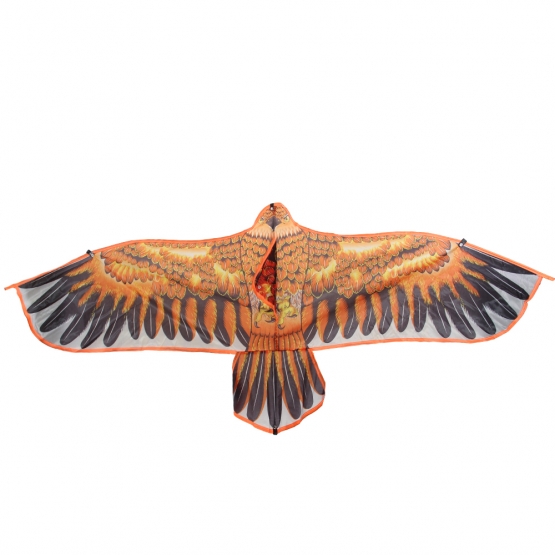 Létající drak orel var.2