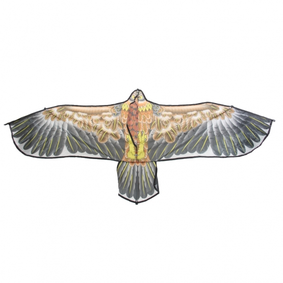 Létající drak orel var.2