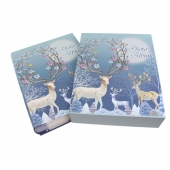 Fotoalbum jelení rodina na 200 fotografií