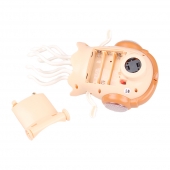 Tančící medúza oranžová