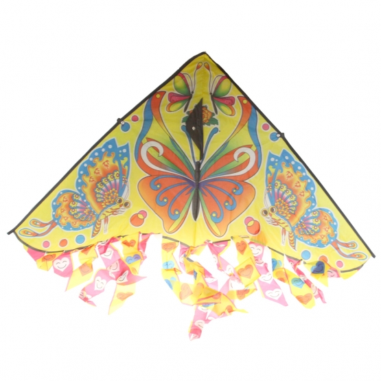 Létající drak var.1