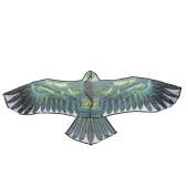 Létající drak orel var.3