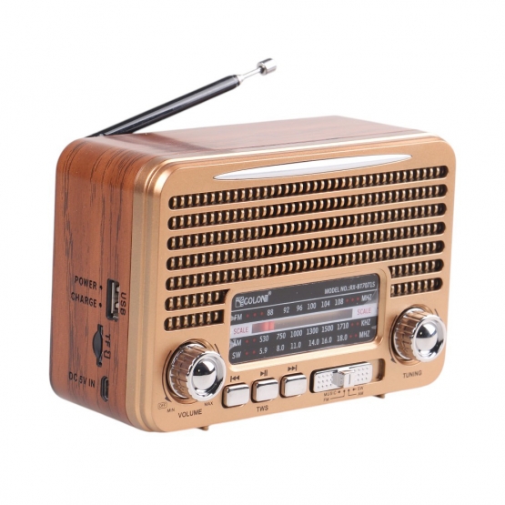 Solární přenosné rádio RX-BT7071S zlaté
