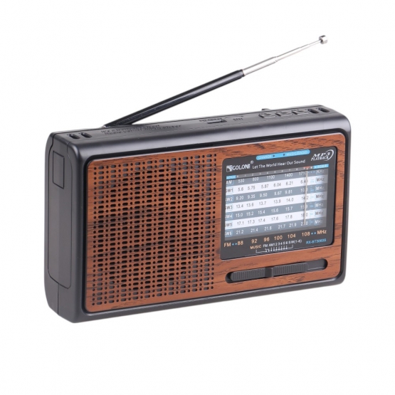 Solární přenosné rádio RX-BT3060S hnědé