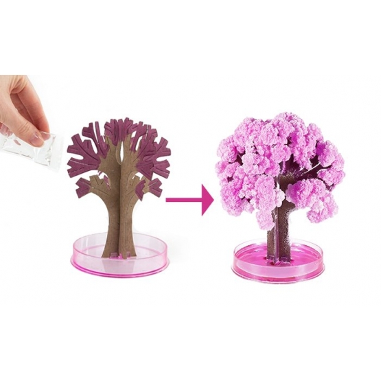 Kouzelný rostoucí stromek Sakura